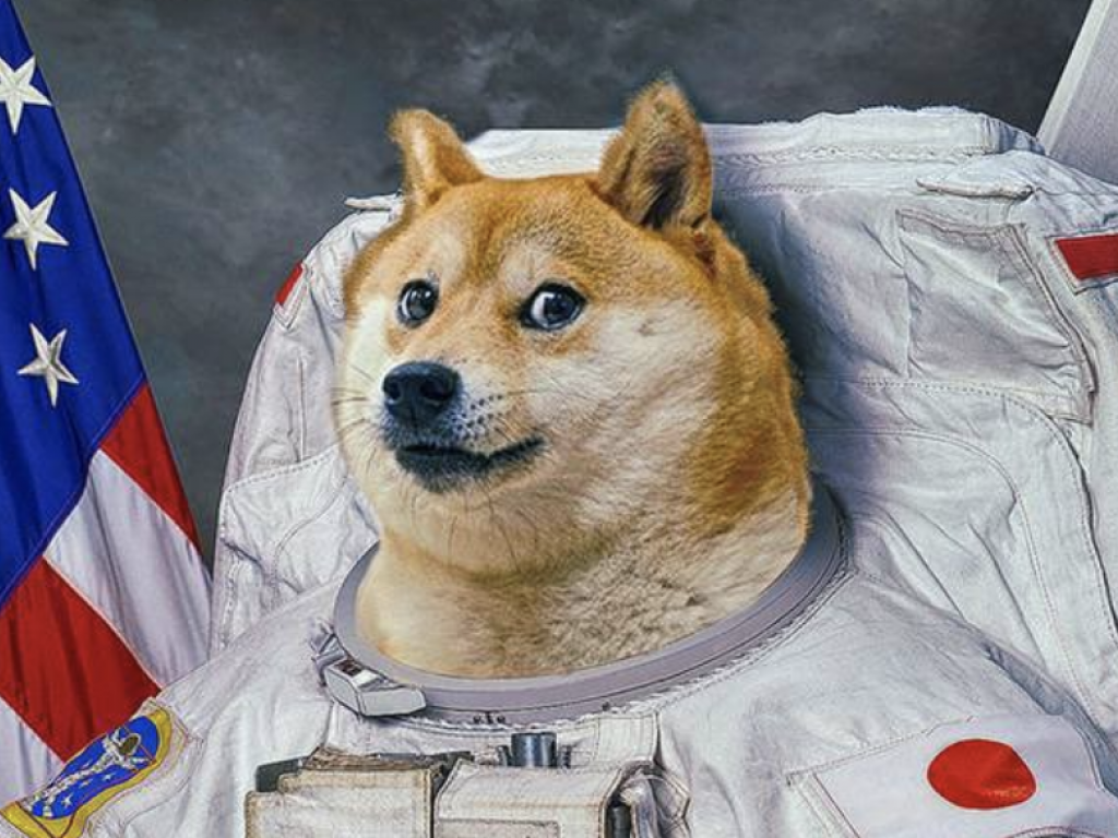 Elon Musk Twitter’a Geri Döndü Dogecoin Yükselişe Geçti!