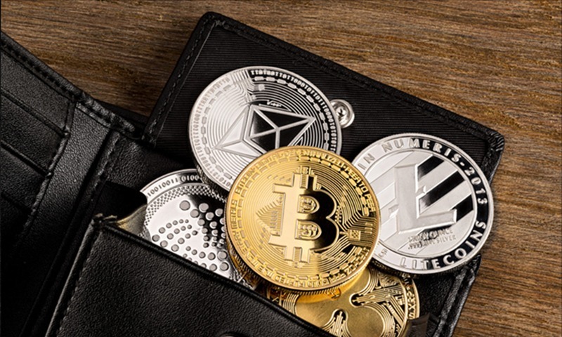 top crypto coin wallets