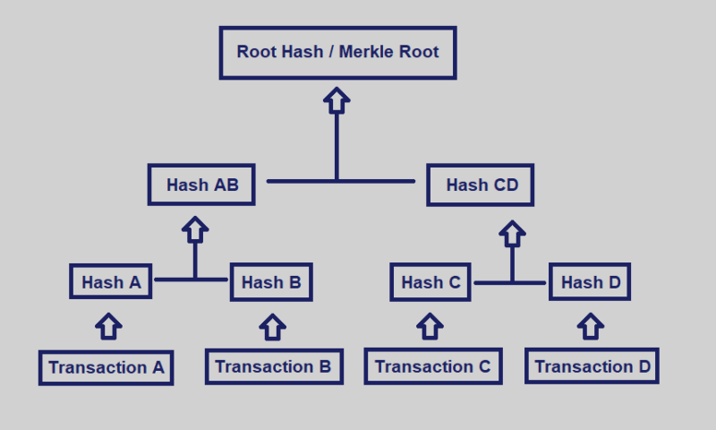 What is Merkle Tree?